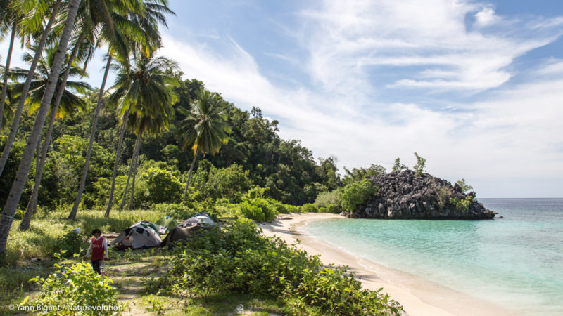 Ecovolunteer camp on Labengki island.