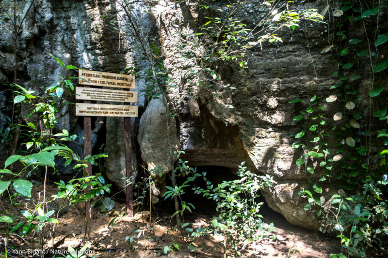 Panneau d'information à l'entrée d'une grotte ornée du karst de Matarombeo.