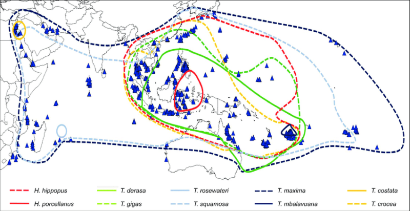 Répartition des différentes espèces de bénitiers (Othman et al., 2010)