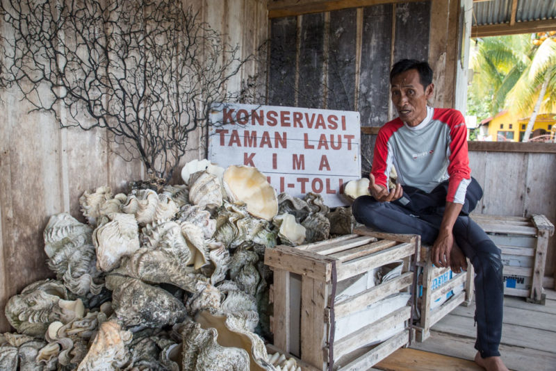 Protection des bénitiers géants à Sulawesi - Toli Toli Giant Clam Conservation