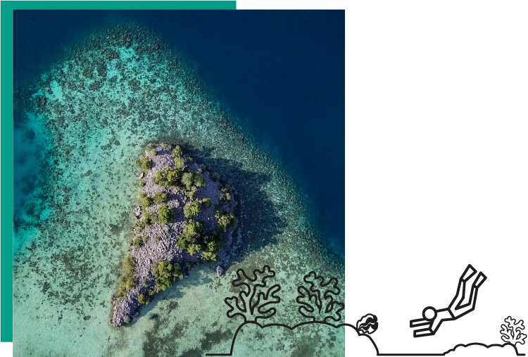 Vue aérienne d'une île entourée de récifs coralliens, icone de plongeurs