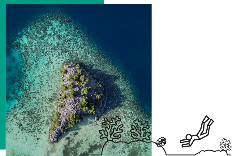 Aerial view of an island surrounded by coral reefs, icon of divers