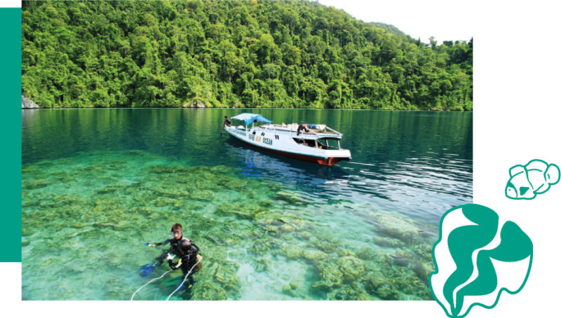 Divers looking for giant clams - boat