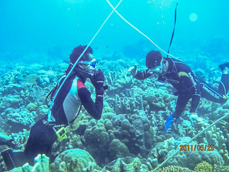 Relocalisation des bénitiers 
© Toli Toli Giant Clam Conservation