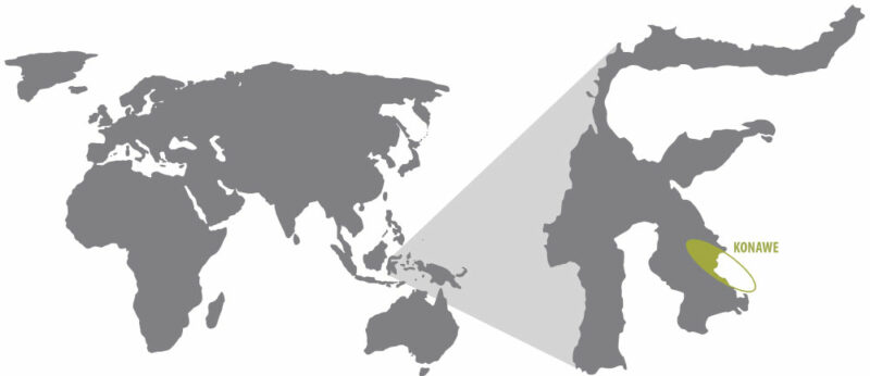 Carte du Konawe, sur l'île de Sulawesi en Indonésie et dans le monde