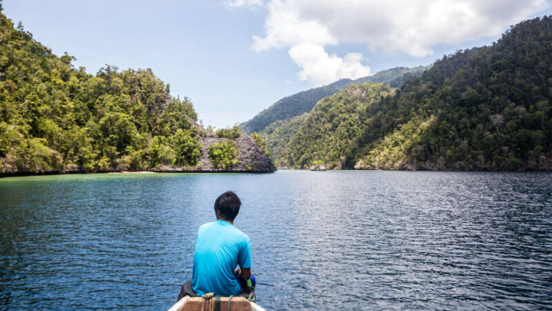 Recherche d'acanthasters sur les récifs de Sulawesi en Indonésie