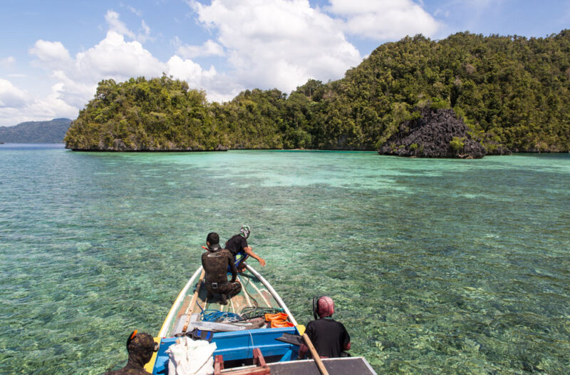 Mission étoiles de mer couronnes d'épines ou acanthasters sur l'île de Sulawesi en Indonésie