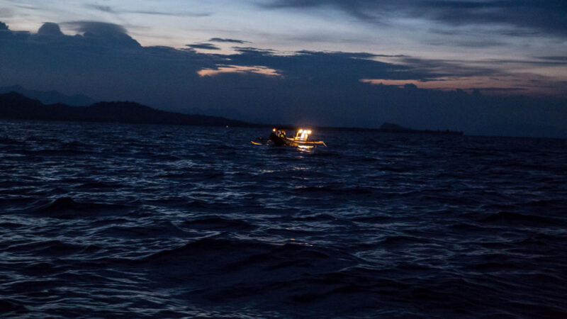 Mission étoiles de mer couronnes d'épines ou acanthasters sur l'île de Sulawesi en Indonésie